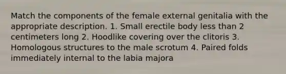 Match the components of the female external genitalia with the appropriate description. 1. Small erectile body less than 2 centimeters long 2. Hoodlike covering over the clitoris 3. Homologous structures to the male scrotum 4. Paired folds immediately internal to the labia majora