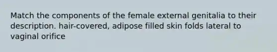 Match the components of the female external genitalia to their description. hair-covered, adipose filled skin folds lateral to vaginal orifice