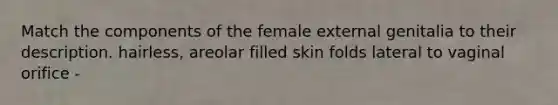 Match the components of the female external genitalia to their description. hairless, areolar filled skin folds lateral to vaginal orifice -