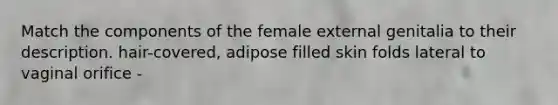 Match the components of the female external genitalia to their description. hair-covered, adipose filled skin folds lateral to vaginal orifice -