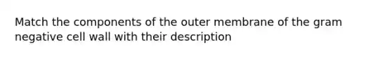 Match the components of the outer membrane of the gram negative cell wall with their description