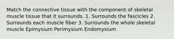 Match the connective tissue with the component of skeletal muscle tissue that it surrounds. 1. Surrounds the fascicles 2. Surrounds each muscle fiber 3. Surrounds the whole skeletal muscle Epimysium Perimysium Endomysium