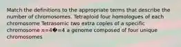 Match the definitions to the appropriate terms that describe the number of chromosomes. Tetraploid four homologues of each chromosome Tetrasomic two extra copies of a specific chromosome 𝑛=4�=4 a genome composed of four unique chromosomes