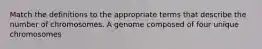 Match the definitions to the appropriate terms that describe the number of chromosomes. A genome composed of four unique chromosomes