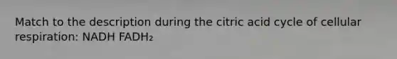 Match to the description during the citric acid cycle of <a href='https://www.questionai.com/knowledge/k1IqNYBAJw-cellular-respiration' class='anchor-knowledge'>cellular respiration</a>: NADH FADH₂