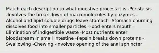 Match each description to what digestive process it is -Peristalsis -Involves the break down of macromolecules by enzymes -Alcohol and lipid soluble drugs leave stomach -Stomach churning dissolves food into smaller particles -Food enters mouth -Elimination of indigestible waste -Most nutrients enter bloodstream in small intestine -Pepsin breaks down proteins -Swallowing -Chewing -Involves opening of the anal sphincter