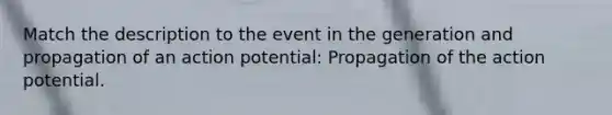 Match the description to the event in the generation and propagation of an action potential: Propagation of the action potential.