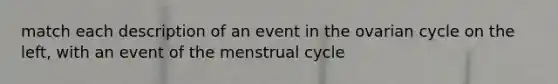 match each description of an event in the ovarian cycle on the left, with an event of the menstrual cycle