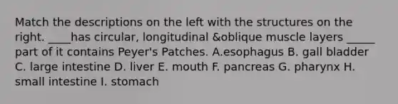 Match the descriptions on the left with the structures on the right. ____has circular, longitudinal &oblique muscle layers _____ part of it contains Peyer's Patches. A.esophagus B. gall bladder C. large intestine D. liver E. mouth F. pancreas G. pharynx H. small intestine I. stomach