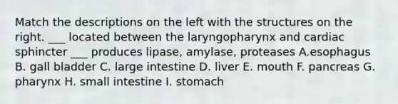 Match the descriptions on the left with the structures on the right. ___ located between the laryngopharynx and cardiac sphincter ___ produces lipase, amylase, proteases A.esophagus B. gall bladder C. large intestine D. liver E. mouth F. pancreas G. pharynx H. small intestine I. stomach