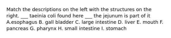 Match the descriptions on the left with the structures on the right. ___ taeinia coli found here ___ the jejunum is part of it A.esophagus B. gall bladder C. large intestine D. liver E. mouth F. pancreas G. pharynx H. small intestine I. stomach