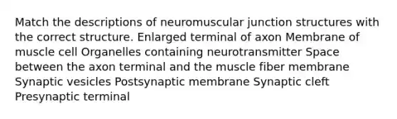 Match the descriptions of neuromuscular junction structures with the correct structure. Enlarged terminal of axon Membrane of muscle cell Organelles containing neurotransmitter Space between the axon terminal and the muscle fiber membrane Synaptic vesicles Postsynaptic membrane Synaptic cleft Presynaptic terminal