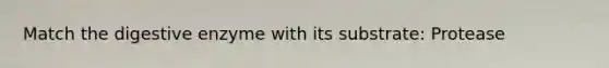 Match the digestive enzyme with its substrate: Protease