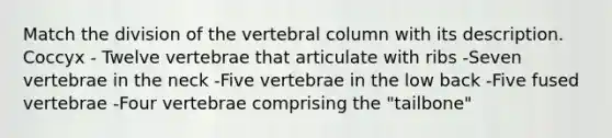 Match the division of the vertebral column with its description. Coccyx - Twelve vertebrae that articulate with ribs -Seven vertebrae in the neck -Five vertebrae in the low back -Five fused vertebrae -Four vertebrae comprising the "tailbone"