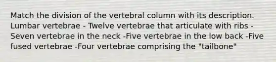 Match the division of the vertebral column with its description. Lumbar vertebrae - Twelve vertebrae that articulate with ribs -Seven vertebrae in the neck -Five vertebrae in the low back -Five fused vertebrae -Four vertebrae comprising the "tailbone"