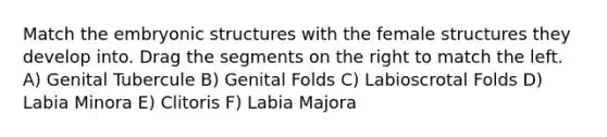 Match the embryonic structures with the female structures they develop into. Drag the segments on the right to match the left. A) Genital Tubercule B) Genital Folds C) Labioscrotal Folds D) Labia Minora E) Clitoris F) Labia Majora