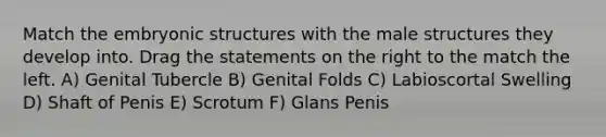 Match the embryonic structures with the male structures they develop into. Drag the statements on the right to the match the left. A) Genital Tubercle B) Genital Folds C) Labioscortal Swelling D) Shaft of Penis E) Scrotum F) Glans Penis