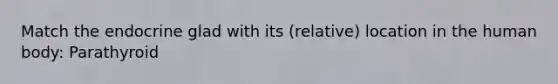Match the endocrine glad with its (relative) location in the human body: Parathyroid