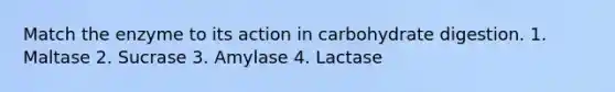 Match the enzyme to its action in carbohydrate digestion. 1. Maltase 2. Sucrase 3. Amylase 4. Lactase