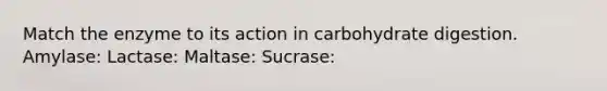 Match the enzyme to its action in carbohydrate digestion. Amylase: Lactase: Maltase: Sucrase: