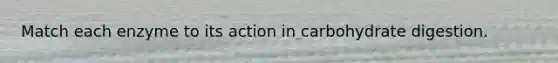 Match each enzyme to its action in carbohydrate digestion.