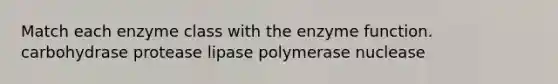 Match each enzyme class with the enzyme function. carbohydrase protease lipase polymerase nuclease