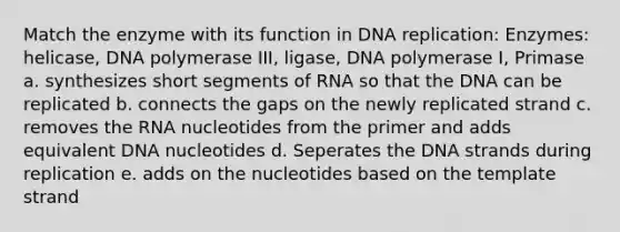 Match the enzyme with its function in DNA replication: Enzymes: helicase, DNA polymerase III, ligase, DNA polymerase I, Primase a. synthesizes short segments of RNA so that the DNA can be replicated b. connects the gaps on the newly replicated strand c. removes the RNA nucleotides from the primer and adds equivalent DNA nucleotides d. Seperates the DNA strands during replication e. adds on the nucleotides based on the template strand