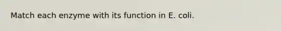 Match each enzyme with its function in E. coli.