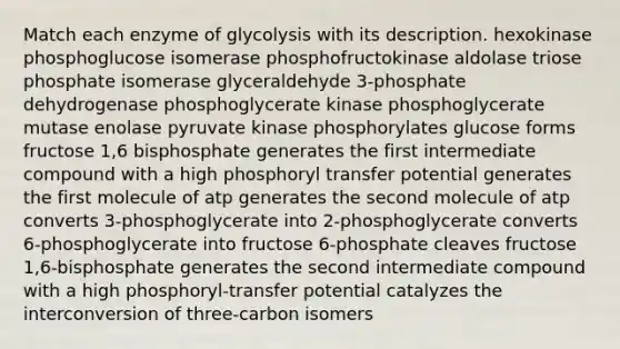 Match each enzyme of glycolysis with its description. hexokinase phosphoglucose isomerase phosphofructokinase aldolase triose phosphate isomerase glyceraldehyde 3-phosphate dehydrogenase phosphoglycerate kinase phosphoglycerate mutase enolase pyruvate kinase phosphorylates glucose forms fructose 1,6 bisphosphate generates the first intermediate compound with a high phosphoryl transfer potential generates the first molecule of atp generates the second molecule of atp converts 3-phosphoglycerate into 2-phosphoglycerate converts 6-phosphoglycerate into fructose 6-phosphate cleaves fructose 1,6-bisphosphate generates the second intermediate compound with a high phosphoryl-transfer potential catalyzes the interconversion of three-carbon isomers