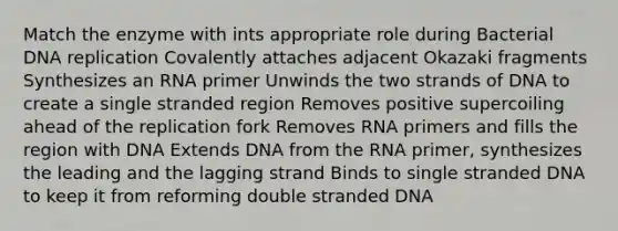 Match the enzyme with ints appropriate role during Bacterial <a href='https://www.questionai.com/knowledge/kofV2VQU2J-dna-replication' class='anchor-knowledge'>dna replication</a> Covalently attaches adjacent Okazaki fragments Synthesizes an RNA primer Unwinds the two strands of DNA to create a single stranded region Removes positive supercoiling ahead of the replication fork Removes RNA primers and fills the region with DNA Extends DNA from the RNA primer, synthesizes the leading and the lagging strand Binds to single stranded DNA to keep it from reforming double stranded DNA