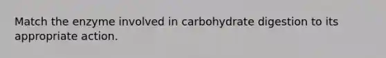 Match the enzyme involved in carbohydrate digestion to its appropriate action.