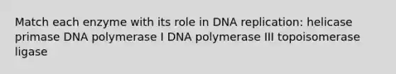 Match each enzyme with its role in DNA replication: helicase primase DNA polymerase I DNA polymerase III topoisomerase ligase