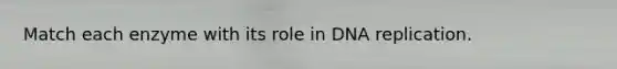 Match each enzyme with its role in DNA replication.