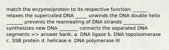 match the enzyme/protein to its respective function: ______ relaxes the supercoiled DNA _____ unwinds the DNA double helix _______ prevents the reannealing of DNA strands _________ synthesizes new DNA ________ connects the separated DNA segments => answer bank: a. DNA ligase b. DNA topoisomerase c. SSB protein d. helicase e. DNA polymerase III