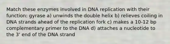 Match these enzymes involved in <a href='https://www.questionai.com/knowledge/kofV2VQU2J-dna-replication' class='anchor-knowledge'>dna replication</a> with their function: gyrase a) unwinds the double helix b) relieves coiling in DNA strands ahead of the replication fork c) makes a 10-12 bp complementary primer to the DNA d) attaches a nucleotide to the 3' end of the DNA strand