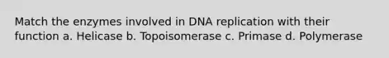 Match the enzymes involved in DNA replication with their function a. Helicase b. Topoisomerase c. Primase d. Polymerase