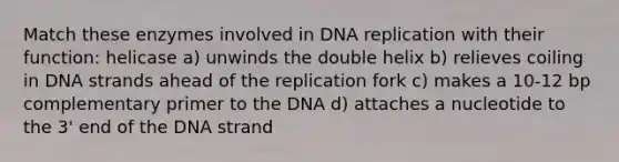 Match these enzymes involved in <a href='https://www.questionai.com/knowledge/kofV2VQU2J-dna-replication' class='anchor-knowledge'>dna replication</a> with their function: helicase a) unwinds the double helix b) relieves coiling in DNA strands ahead of the replication fork c) makes a 10-12 bp complementary primer to the DNA d) attaches a nucleotide to the 3' end of the DNA strand