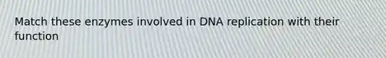 Match these enzymes involved in <a href='https://www.questionai.com/knowledge/kofV2VQU2J-dna-replication' class='anchor-knowledge'>dna replication</a> with their function