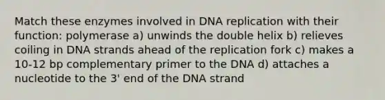 Match these enzymes involved in <a href='https://www.questionai.com/knowledge/kofV2VQU2J-dna-replication' class='anchor-knowledge'>dna replication</a> with their function: polymerase a) unwinds the double helix b) relieves coiling in DNA strands ahead of the replication fork c) makes a 10-12 bp complementary primer to the DNA d) attaches a nucleotide to the 3' end of the DNA strand