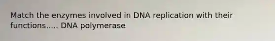 Match the enzymes involved in DNA replication with their functions..... DNA polymerase