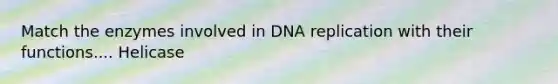 Match the enzymes involved in DNA replication with their functions.... Helicase