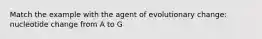 Match the example with the agent of evolutionary change: nucleotide change from A to G