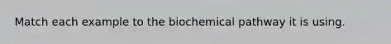 Match each example to the biochemical pathway it is using.