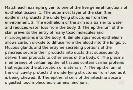 Match each example given to one of the five general functions of epithelial tissues. 1. The outermost layer of the skin (the epidermis) protects the underlying structures from the environment. 2. The epithelium of the skin is a barrier to water and reduces water loss from the body. 3. The epithelium of the skin prevents the entry of many toxic molecules and microorganisms into the body. 4. Simple squamous epithelium allows carbon dioxide to diffuse from the blood into the lungs. 5. Mucous glands and the enzyme-secreting portions of the pancreas secrete their products into ducts that subsequently deliver their products to other areas of the body. 6. The plasma membranes of certain epithelial tissues contain carrier proteins that regulate the absorption of materials. 7. The epithelium of the oral cavity protects the underlying structures from food as it is being chewed. 8. The epithelial cells of the intestine absorb digested food molecules, vitamins, and ions.