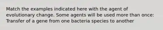 Match the examples indicated here with the agent of evolutionary change. Some agents will be used <a href='https://www.questionai.com/knowledge/keWHlEPx42-more-than' class='anchor-knowledge'>more than</a> once: Transfer of a gene from one bacteria species to another