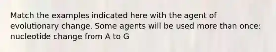 Match the examples indicated here with the agent of evolutionary change. Some agents will be used <a href='https://www.questionai.com/knowledge/keWHlEPx42-more-than' class='anchor-knowledge'>more than</a> once: nucleotide change from A to G