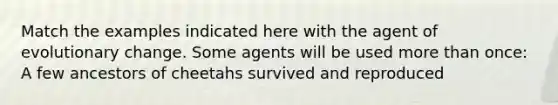 Match the examples indicated here with the agent of evolutionary change. Some agents will be used <a href='https://www.questionai.com/knowledge/keWHlEPx42-more-than' class='anchor-knowledge'>more than</a> once: A few ancestors of cheetahs survived and reproduced