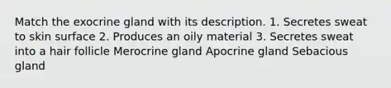 Match the exocrine gland with its description. 1. Secretes sweat to skin surface 2. Produces an oily material 3. Secretes sweat into a hair follicle Merocrine gland Apocrine gland Sebacious gland