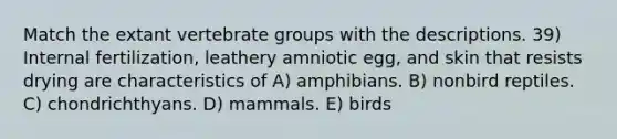 Match the extant vertebrate groups with the descriptions. 39) Internal fertilization, leathery amniotic egg, and skin that resists drying are characteristics of A) amphibians. B) nonbird reptiles. C) chondrichthyans. D) mammals. E) birds