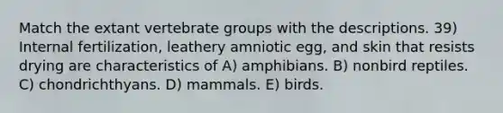 Match the extant vertebrate groups with the descriptions. 39) Internal fertilization, leathery amniotic egg, and skin that resists drying are characteristics of A) amphibians. B) nonbird reptiles. C) chondrichthyans. D) mammals. E) birds.